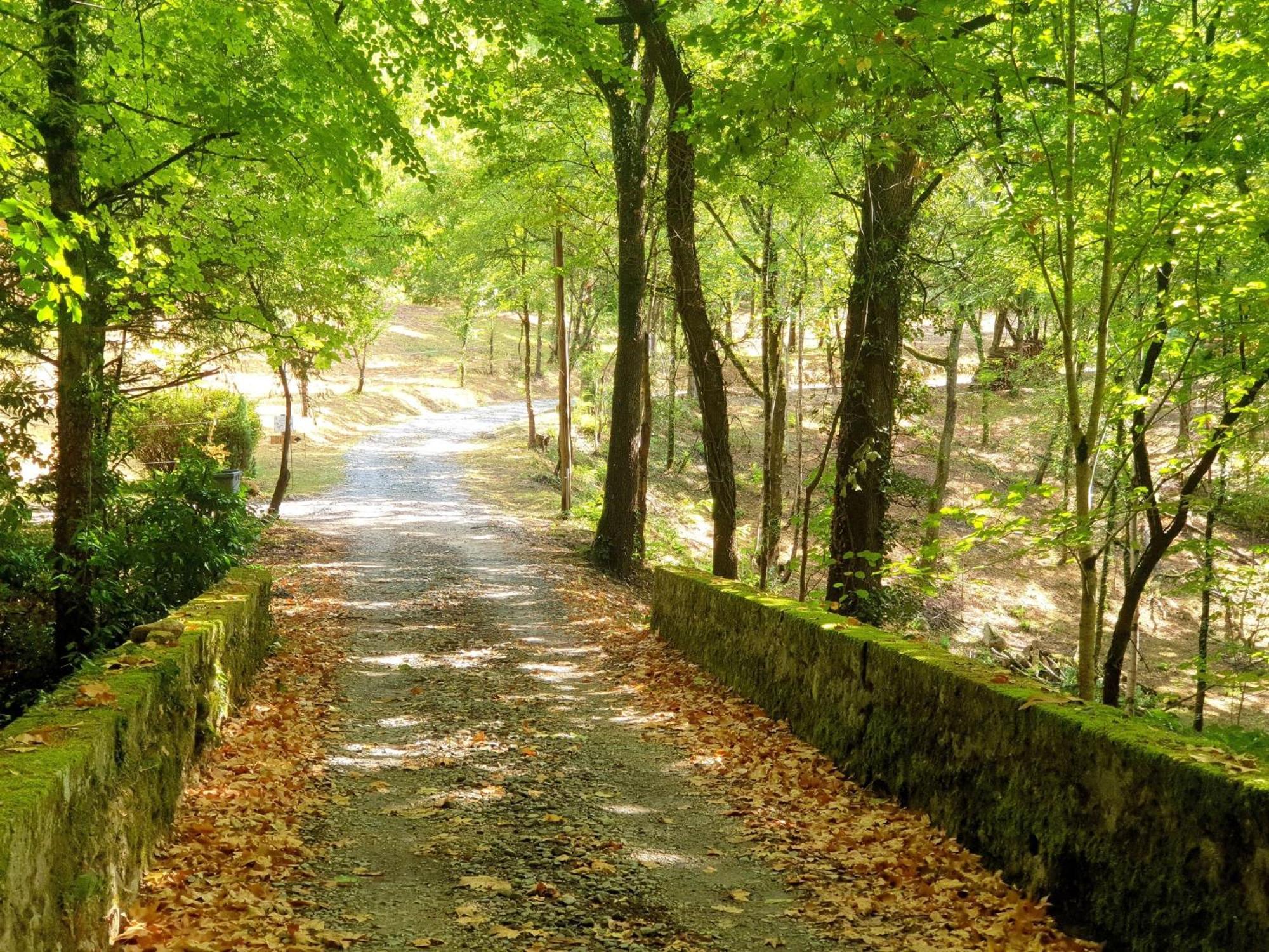 Le Petit Bonheur - Havre De Paix Au Milieu De La Nature Villa Port-Sainte-Marie Exteriör bild